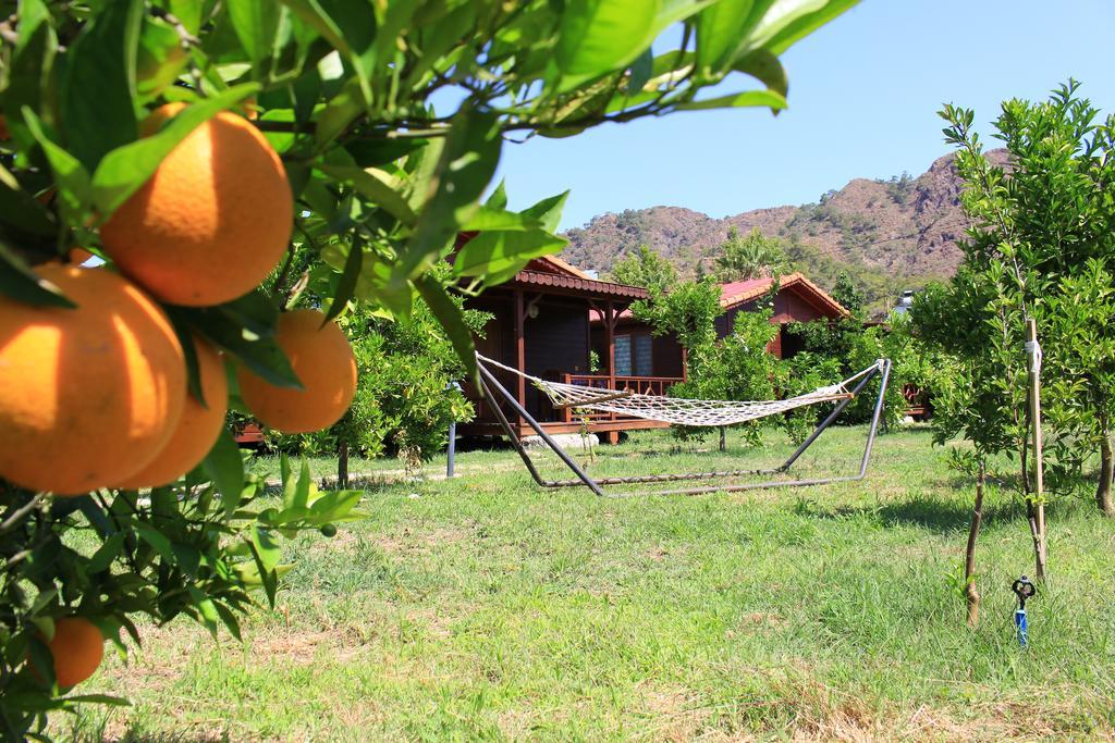 Ikiz Villas Çıralı Ngoại thất bức ảnh