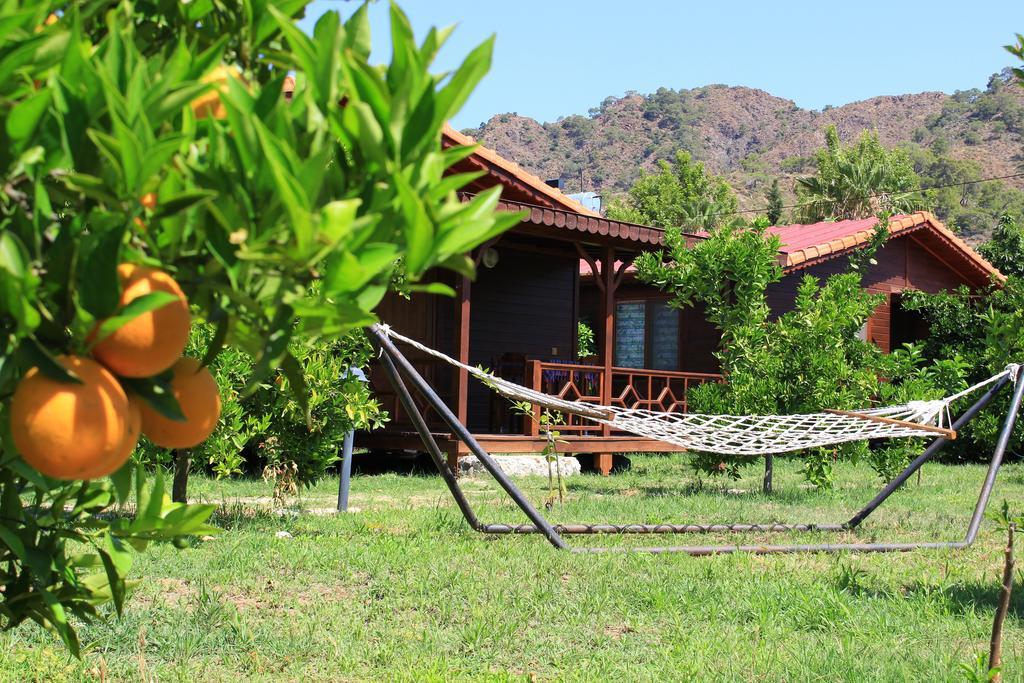 Ikiz Villas Çıralı Ngoại thất bức ảnh